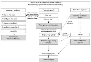 SCHEME & TRAINING CYCLES