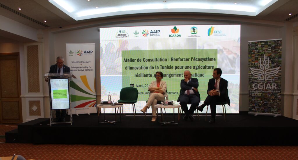 Atelier de consultation 20 Mai 2025